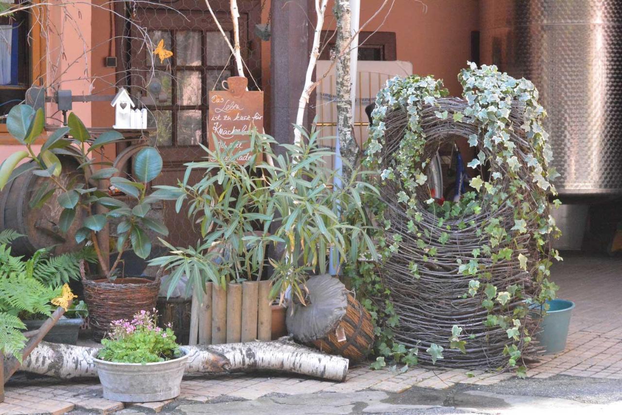 كولمار Chez Myriam Bed And Breakfast Studio Parme المظهر الخارجي الصورة