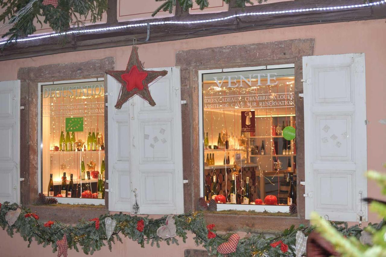 كولمار Chez Myriam Bed And Breakfast Studio Parme المظهر الخارجي الصورة
